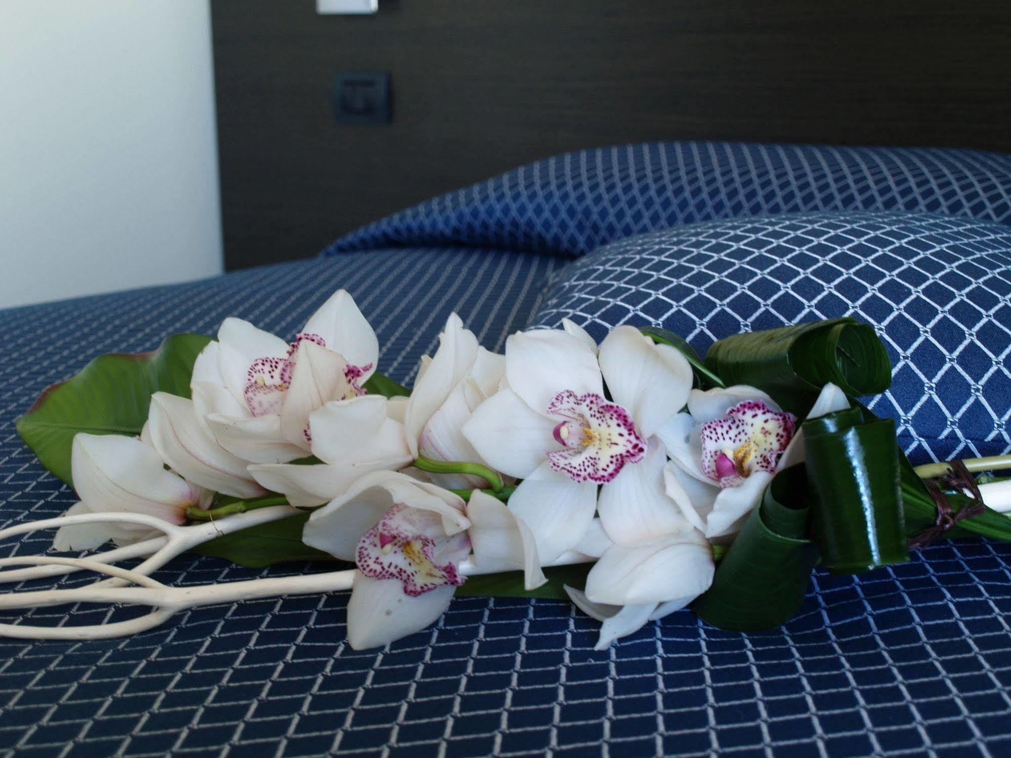 Draconerium Hotel درونيرو المظهر الخارجي الصورة